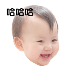 小米寶の表情包
