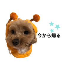 yukari_20220716020610