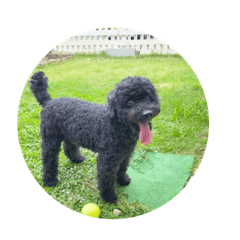 sumichi_20220715225539