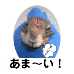 Jackie_20220716132234