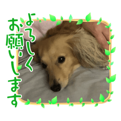 yuka_20220716010347