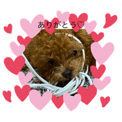 KAORI_20220716120241