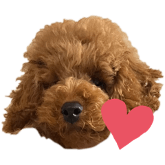 MIZUKI_20220716013551