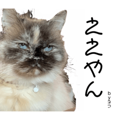 kaito_20220715233704