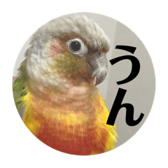 SHIHO_20220716153014