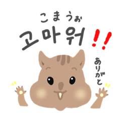 Squirrel Q(Korean&Japanese)