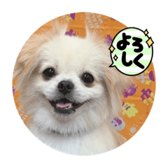 Mitsuki_20220716151118