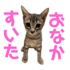 sayuri_20220716161853