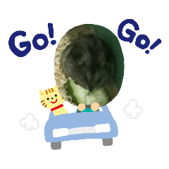 Bella_20220716170908