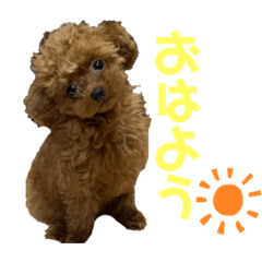 Hikari_20220716190704