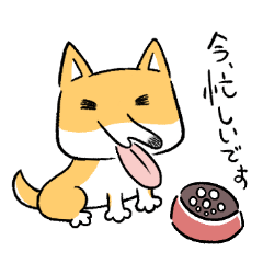 奇怪的柴犬(日文版)