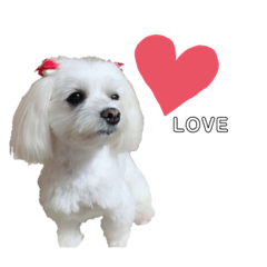 Ellie_20220716203302