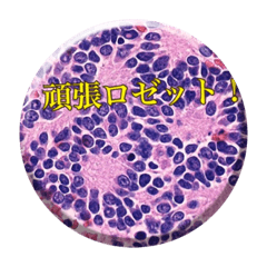 BB pathology