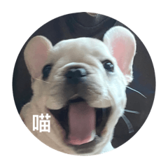哞哞is哞哩