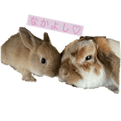 komuck_20220716230805