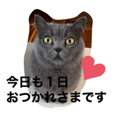 saori_20220717041238