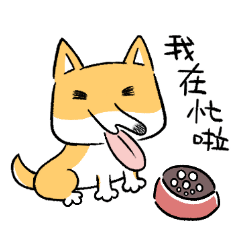 変な柴犬(台湾華語)
