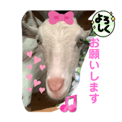 sayuri_20220717082801