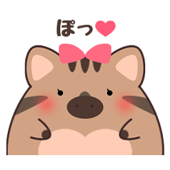 Chii_chama.Wild boar in Izu.