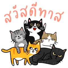 Cat gang diary (TH)