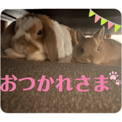 komuck_20220717151549