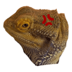 D_20220717120307