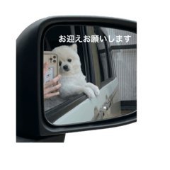 hana_20220717132944