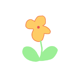 花花世界ヾ(^▽^*)))
