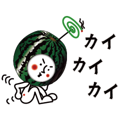 Watermelon summer suika