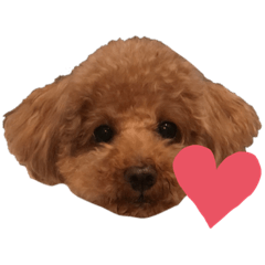 MIZUKI_20220717192246