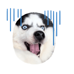 我家的寶貝悶(*ˉ︶ˉ*)