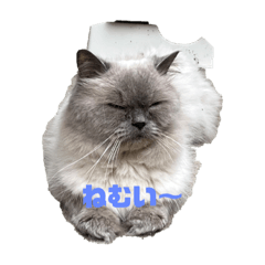 kazuki_20220718005332