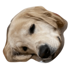 manji._20220717230955