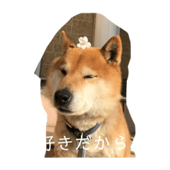 AoI_20220717230601