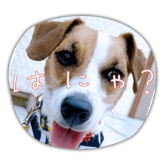 yuto_20220718115545
