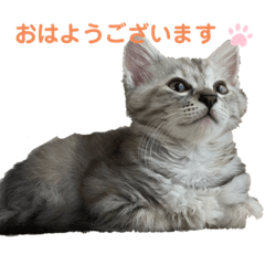 yukari_20220718111744