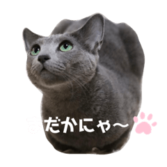 MISA_20220718102722