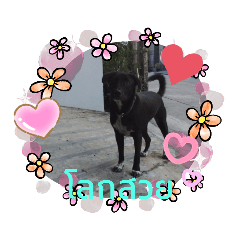 Alice_20220718125246