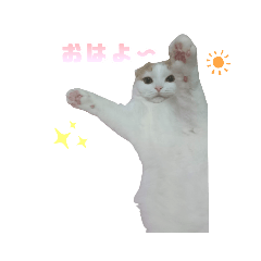 yuka_20220718145802