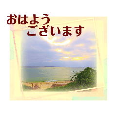 Sasha_20220718025853