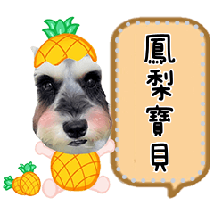 媽媽的鳳梨寶貝