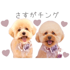 Hello_20220716212010