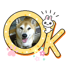 Michiko_20220718195516