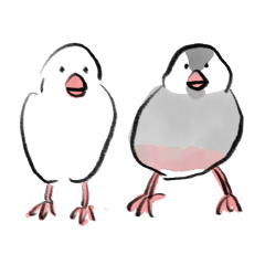 Java sparrow Chicken & Tsukune