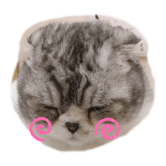 yuka_20220718205316