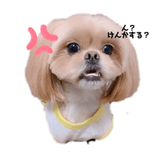 Mary_20220718230426
