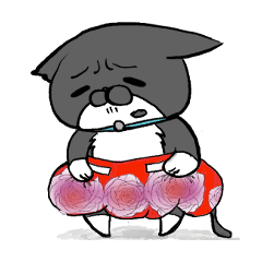 DiapersCat BUNBUN