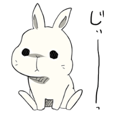 Flat Rabbit Shiratama