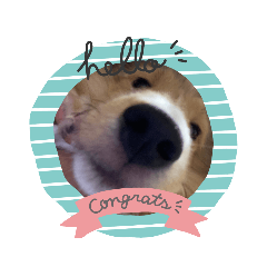 shiho_20220718221923