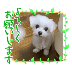 kuu_20220719010525